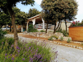 Mobile homes Marita